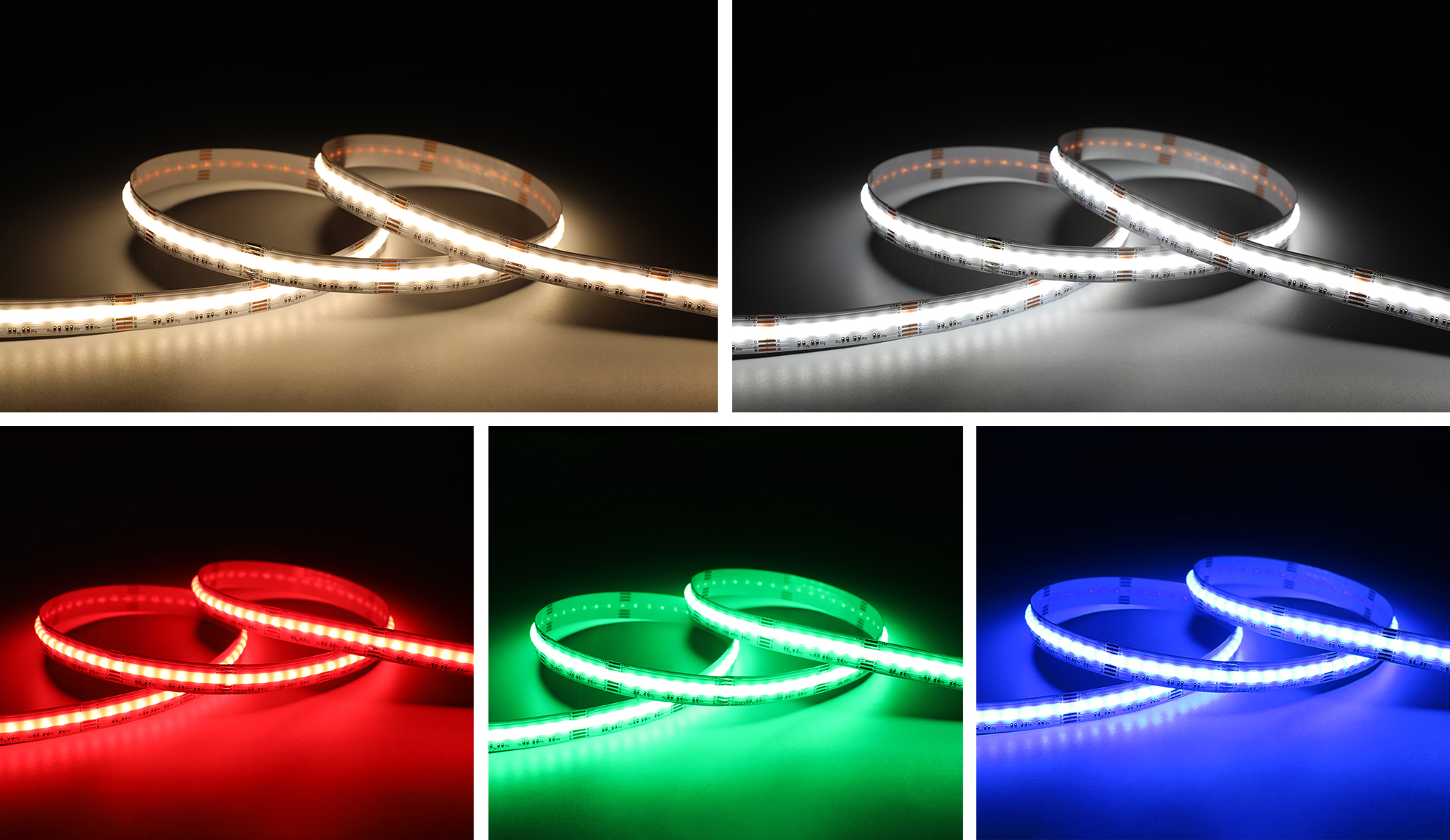 General Lighting - COB Pro Series - RGBCCT 24V 840Chips/M 12mm - 9481